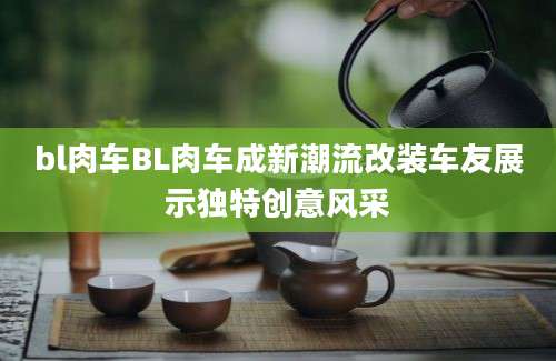 bl肉车BL肉车成新潮流改装车友展示独特创意风采