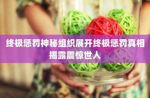 终极惩罚神秘组织展开终极惩罚真相揭露震惊世人