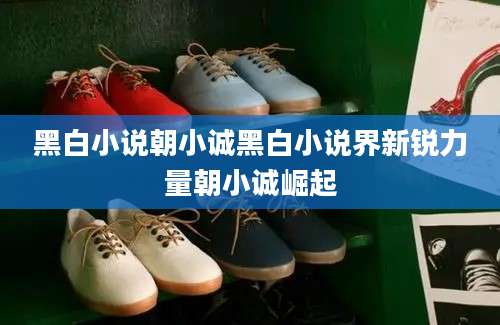 黑白小说朝小诚黑白小说界新锐力量朝小诚崛起