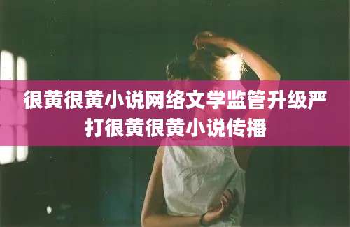 很黄很黄小说网络文学监管升级严打很黄很黄小说传播