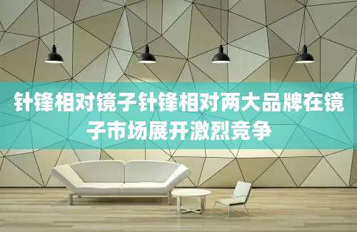 针锋相对镜子针锋相对两大品牌在镜子市场展开激烈竞争