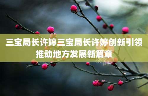 三宝局长许婷三宝局长许婷创新引领推动地方发展新篇章