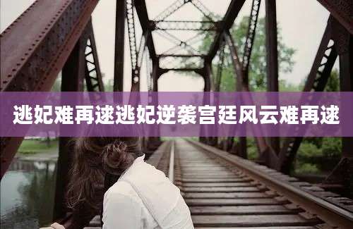 逃妃难再逑逃妃逆袭宫廷风云难再逑
