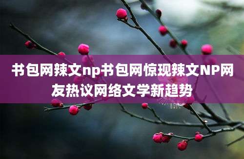 书包网辣文np书包网惊现辣文NP网友热议网络文学新趋势