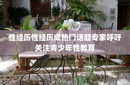 性经历性经历成热门话题专家呼吁关注青少年性教育