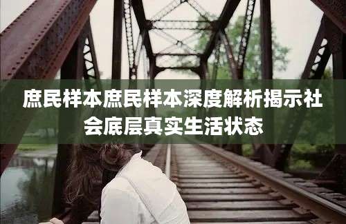 庶民样本庶民样本深度解析揭示社会底层真实生活状态