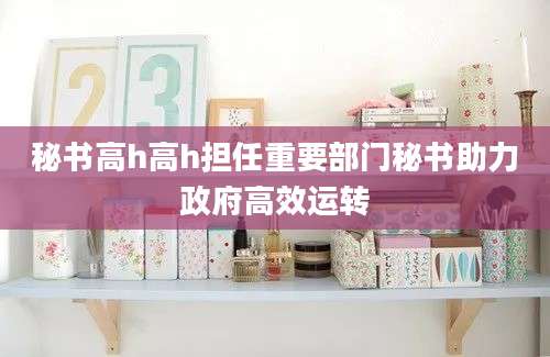 秘书高h高h担任重要部门秘书助力政府高效运转