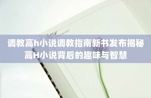 调教高h小说调教指南新书发布揭秘高H小说背后的趣味与智慧