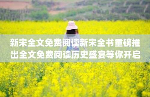 新宋全文免费阅读新宋全书重磅推出全文免费阅读历史盛宴等你开启