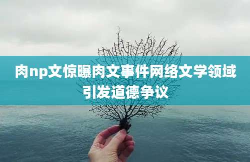 肉np文惊曝肉文事件网络文学领域引发道德争议