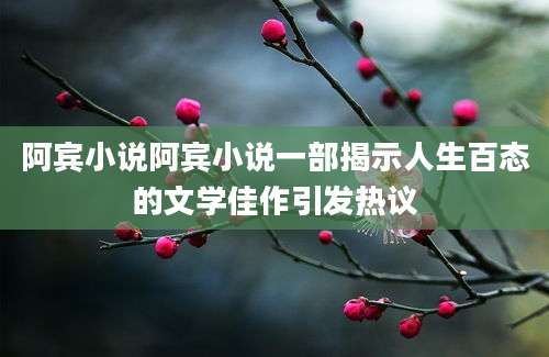 阿宾小说阿宾小说一部揭示人生百态的文学佳作引发热议
