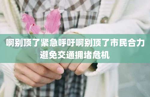 啊别顶了紧急呼吁啊别顶了市民合力避免交通拥堵危机