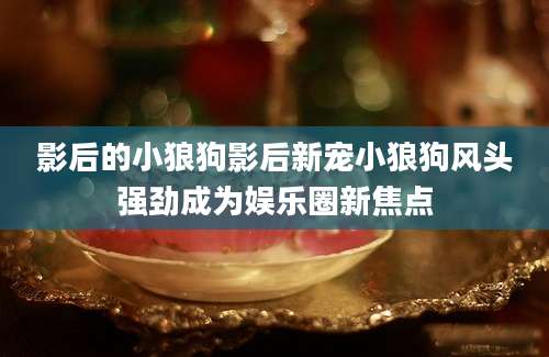 影后的小狼狗影后新宠小狼狗风头强劲成为娱乐圈新焦点