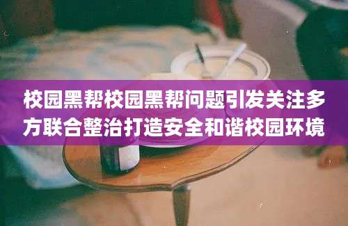 校园黑帮校园黑帮问题引发关注多方联合整治打造安全和谐校园环境