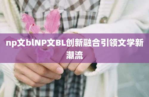 np文blNP文BL创新融合引领文学新潮流