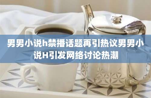 男男小说h禁播话题再引热议男男小说H引发网络讨论热潮