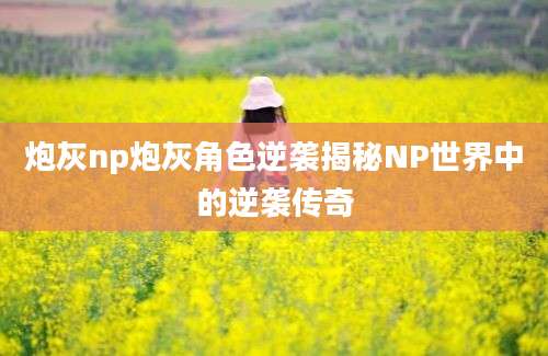 炮灰np炮灰角色逆袭揭秘NP世界中的逆袭传奇