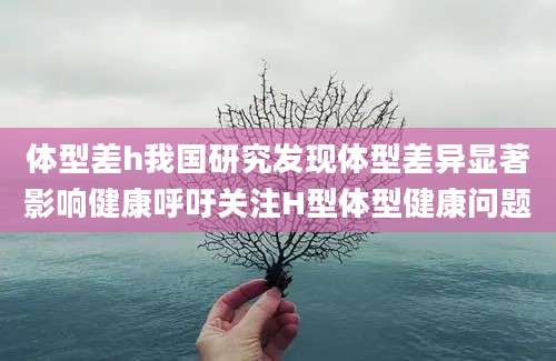 体型差h我国研究发现体型差异显著影响健康呼吁关注H型体型健康问题