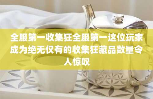 全服第一收集狂全服第一这位玩家成为绝无仅有的收集狂藏品数量令人惊叹