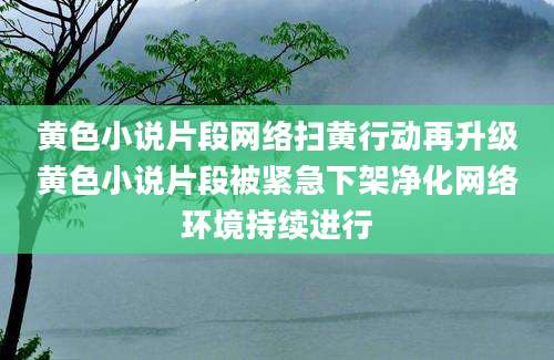 黄色小说片段网络扫黄行动再升级黄色小说片段被紧急下架净化网络环境持续进行