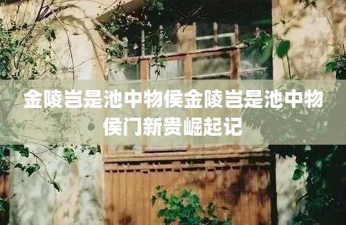 金陵岂是池中物侯金陵岂是池中物侯门新贵崛起记