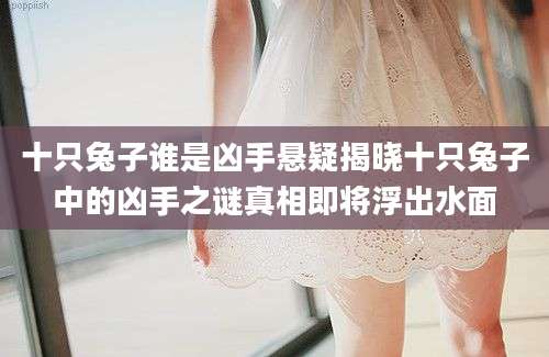 十只兔子谁是凶手悬疑揭晓十只兔子中的凶手之谜真相即将浮出水面