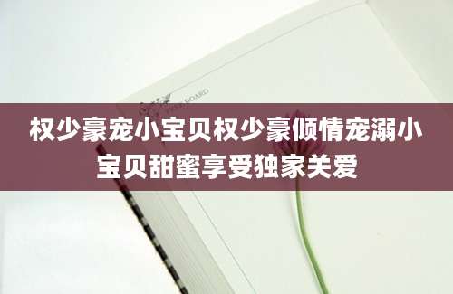 权少豪宠小宝贝权少豪倾情宠溺小宝贝甜蜜享受独家关爱