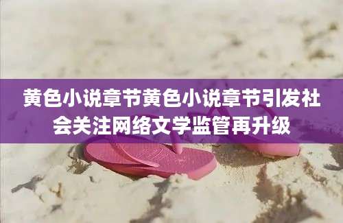 黄色小说章节黄色小说章节引发社会关注网络文学监管再升级