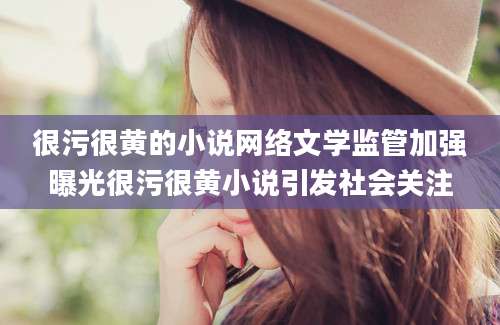 很污很黄的小说网络文学监管加强曝光很污很黄小说引发社会关注