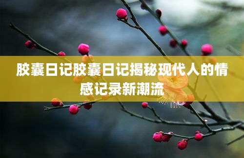 胶囊日记胶囊日记揭秘现代人的情感记录新潮流