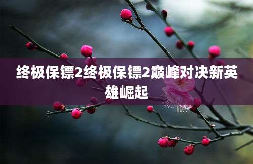 终极保镖2终极保镖2巅峰对决新英雄崛起