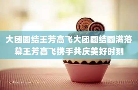 大团圆结王芳高飞大团圆结圆满落幕王芳高飞携手共庆美好时刻