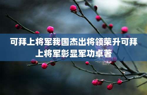 可拜上将军我国杰出将领荣升可拜上将军彰显军功卓著