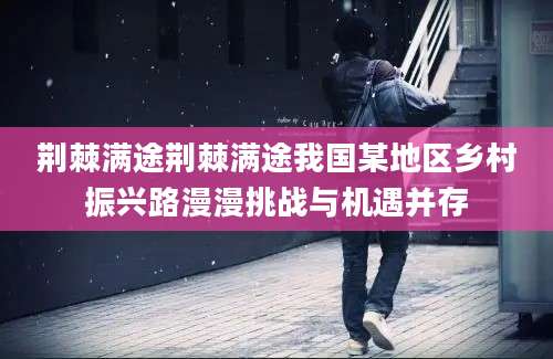 荆棘满途荆棘满途我国某地区乡村振兴路漫漫挑战与机遇并存