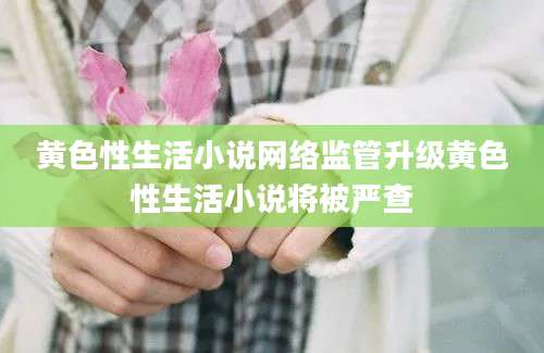 黄色性生活小说网络监管升级黄色性生活小说将被严查