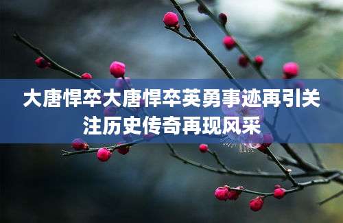大唐悍卒大唐悍卒英勇事迹再引关注历史传奇再现风采