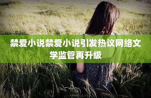 禁爱小说禁爱小说引发热议网络文学监管再升级