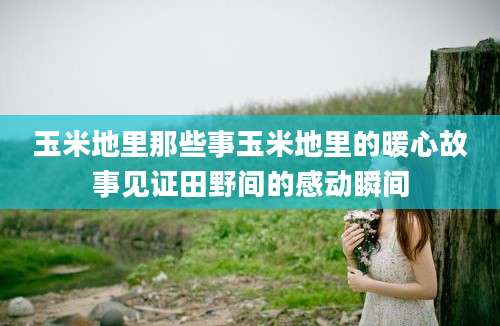 玉米地里那些事玉米地里的暖心故事见证田野间的感动瞬间