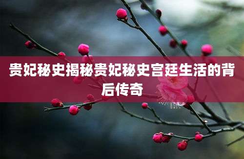 贵妃秘史揭秘贵妃秘史宫廷生活的背后传奇