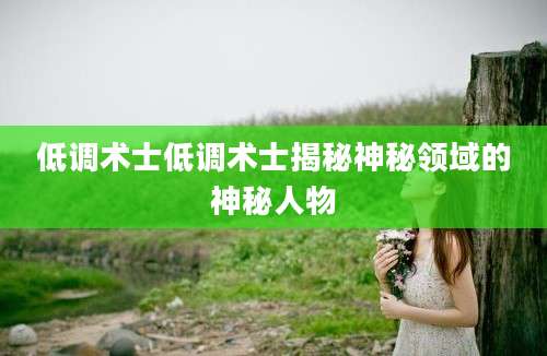 低调术士低调术士揭秘神秘领域的神秘人物