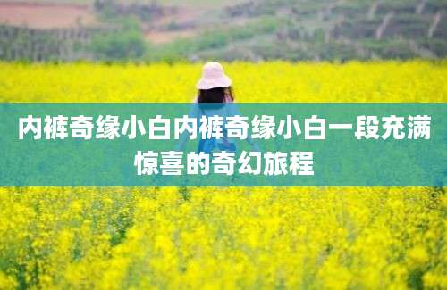 内裤奇缘小白内裤奇缘小白一段充满惊喜的奇幻旅程