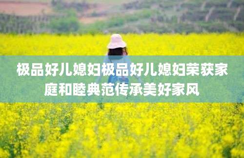极品好儿媳妇极品好儿媳妇荣获家庭和睦典范传承美好家风