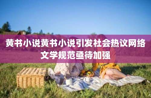 黄书小说黄书小说引发社会热议网络文学规范亟待加强