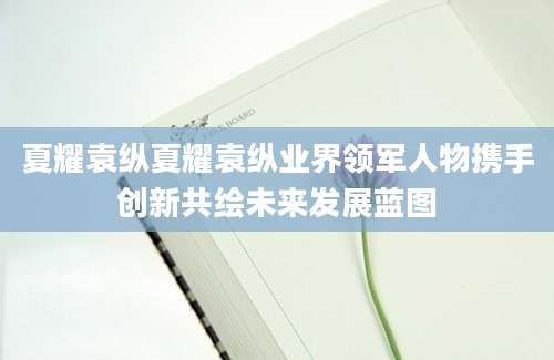 夏耀袁纵夏耀袁纵业界领军人物携手创新共绘未来发展蓝图