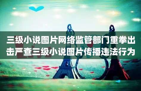 三级小说图片网络监管部门重拳出击严查三级小说图片传播违法行为