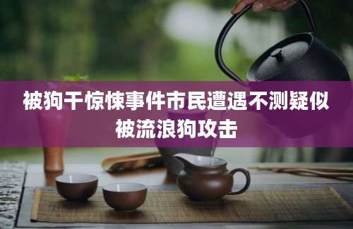 被狗干惊悚事件市民遭遇不测疑似被流浪狗攻击