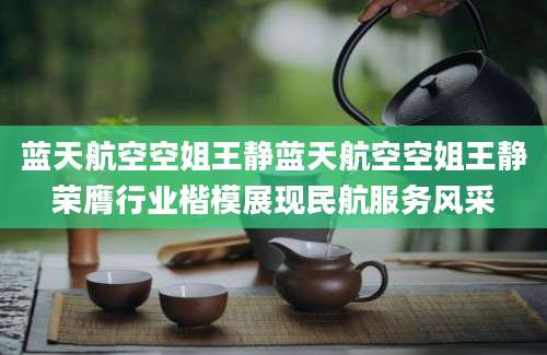 蓝天航空空姐王静蓝天航空空姐王静荣膺行业楷模展现民航服务风采