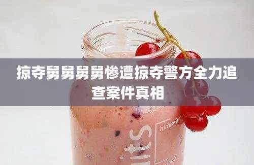 掠夺舅舅舅舅惨遭掠夺警方全力追查案件真相