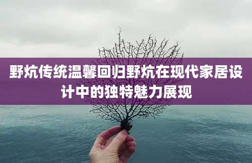 野炕传统温馨回归野炕在现代家居设计中的独特魅力展现