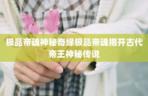 极品帝魂神秘奇缘极品帝魂揭开古代帝王神秘传说